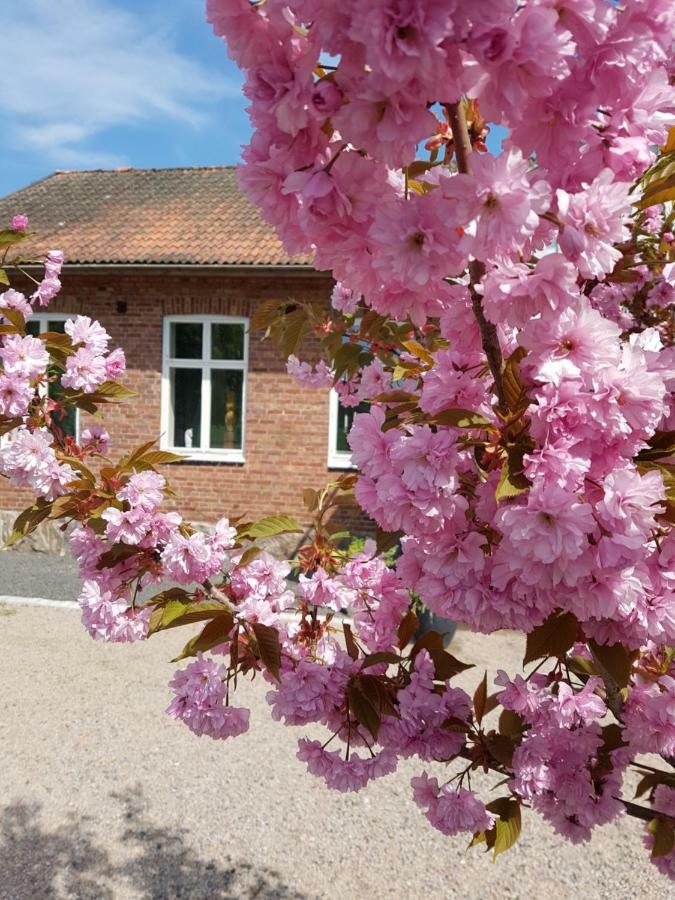 Hoerlinge Guesthouse Finja Exterior foto